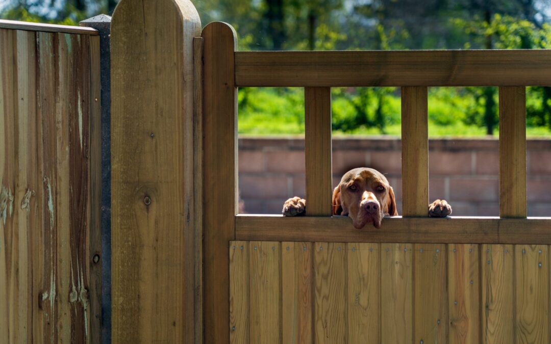 Gatekeeper Or Gatecrasher: Choose Wisely
